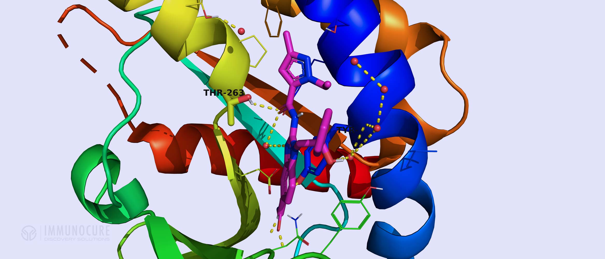 Ligand Protein Binding - Computational Drug Discovery