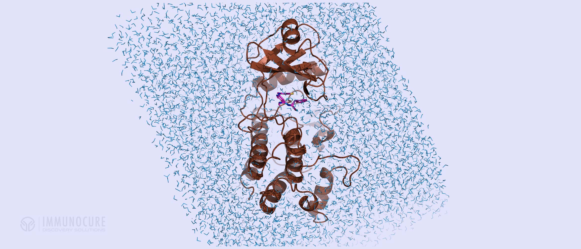 Molecular dynamics - Drug Discovery - Computational Chemistry Service tools