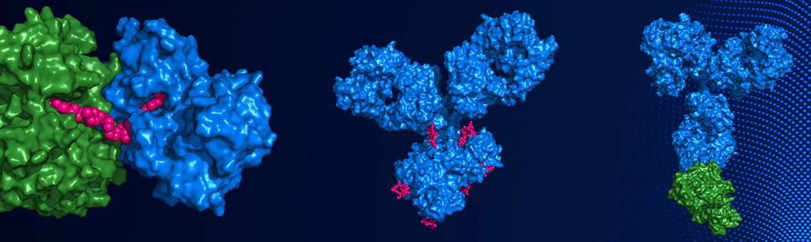 AI Driven Biologics design