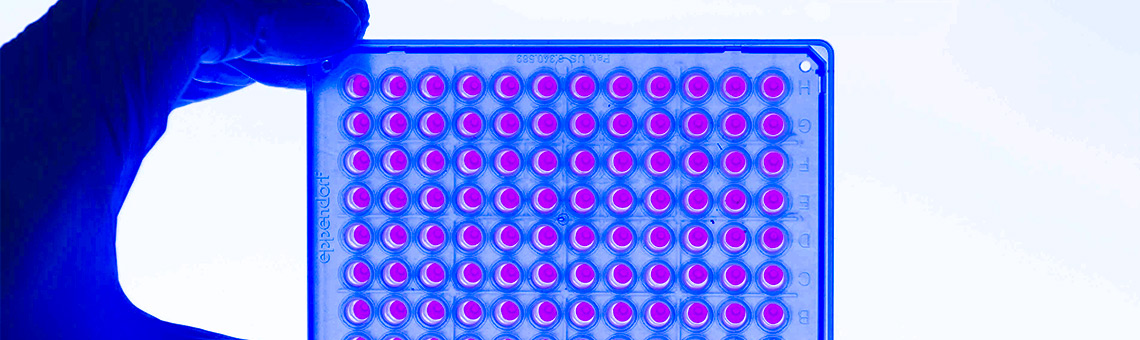 Cell based assays for Drug Discovery