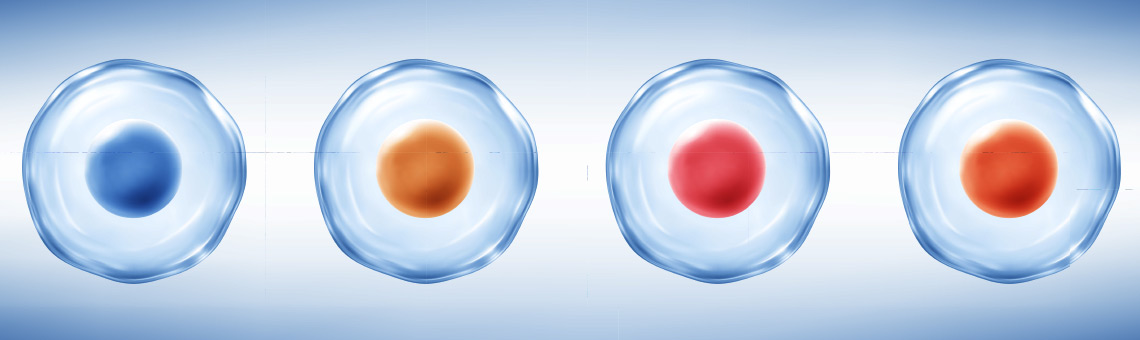 In Vistro Biology Services CRO