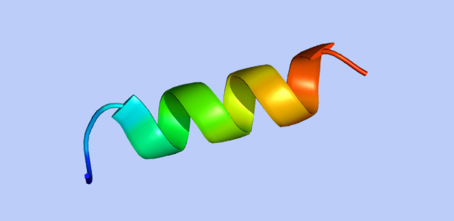 Custom Peptide Synthesis Services CRO