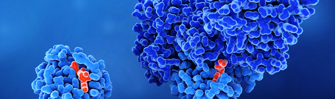 Target validation BG